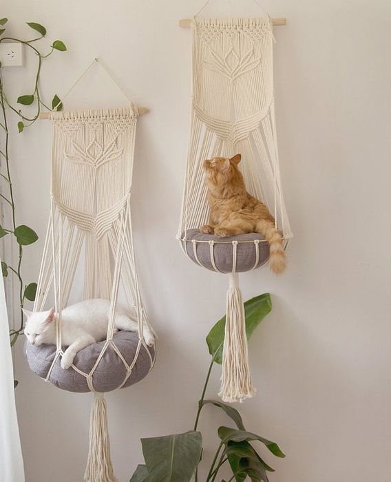 Two cats relaxing on separate macramé hammock beds