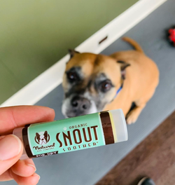 reviewer holding the snout soother balm with their dog in the background