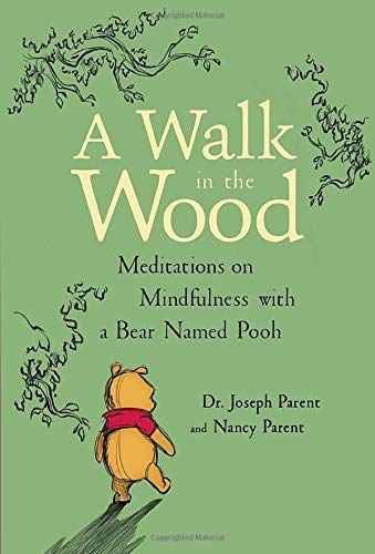 The book cover