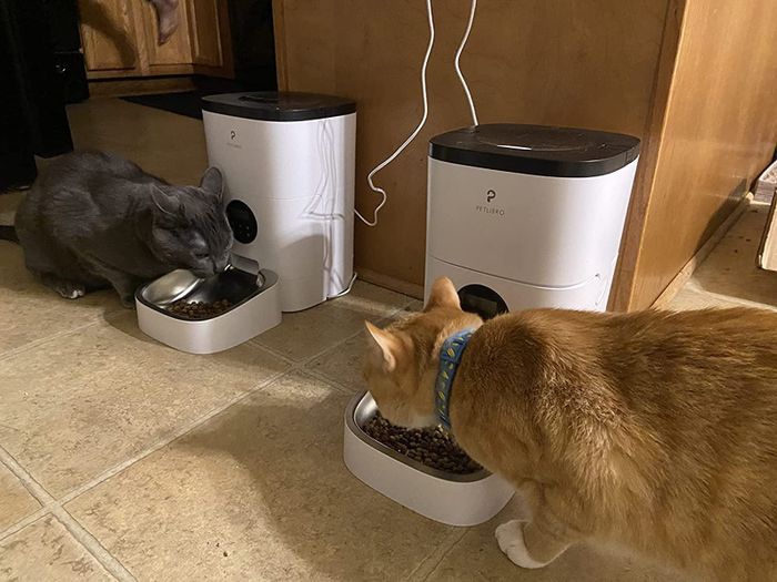 A reviewer shows their two cats, each enjoying their meal from their own separate feeder.