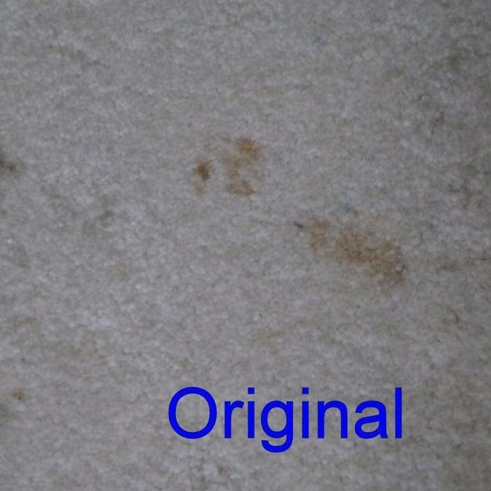 A reviewer’s original photo showing their dog’s accident on a white carpet