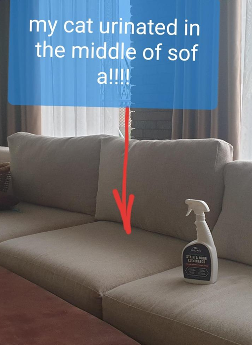 The bottle resting on a sofa with the words