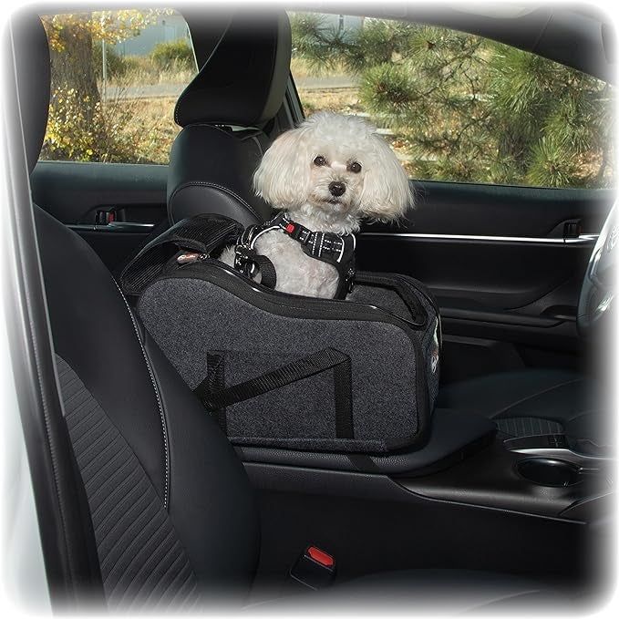 A dog sitting comfortably in a console seat inside a car