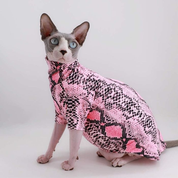A cat wearing the shirt in pink