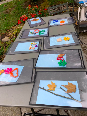 Several sheets of paper with various leaves, sticks, and flowers placed in the sun