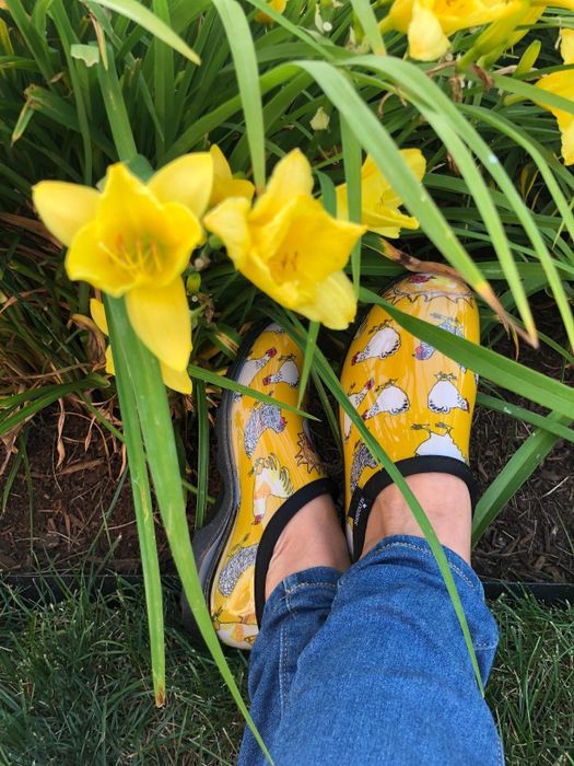 person wearing waterproof yellow garden clogs featuring chickens