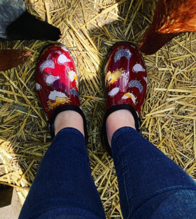 Reviewer wearing red garden shoes adorned with a playful chicken print.