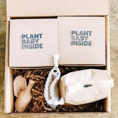 The kit in its packaging. The smaller boxes holding the plants read