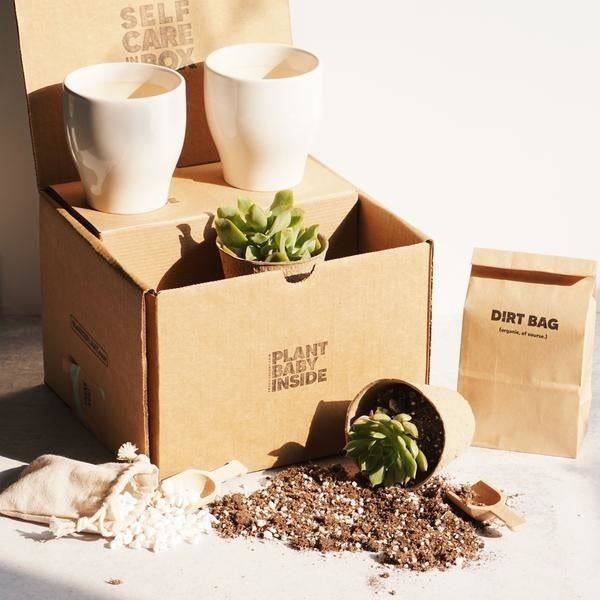 The kit unwrapped, showcasing two cream-colored planter pots and two small succulents