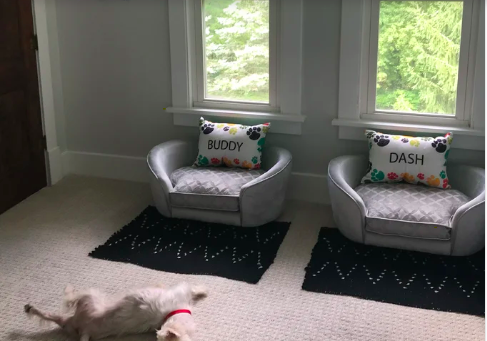 The reviewer’s dog playfully rolling over in front of matching beds with pillows reading 'Buddy' and 'Dash'.