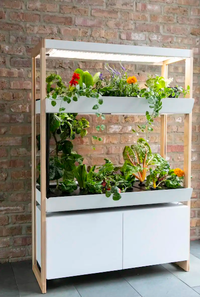 A sleek, bookshelf-sized planter that hides a filtration system and storage, with two growing decks, built-in lights, and fully-grown plants ready to thrive.