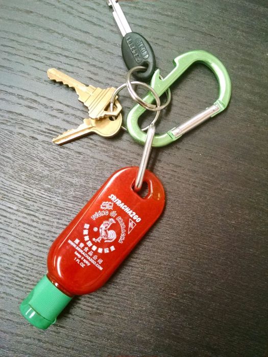 A reviewer’s picture showing the keychain alongside their keys