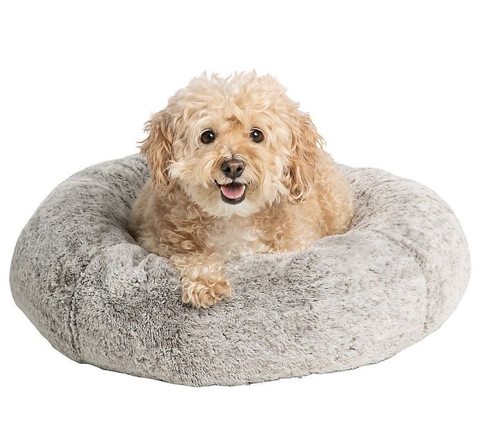 A small dog lounging in a cozy gray round cushion bed.