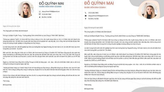Gợi ý Cover Letter bằng tiếng Việt mẫu 1 (Hình minh họa)