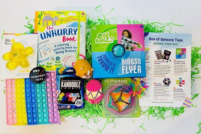 a variety of sensory toys and activity books