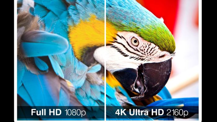 Sự khác biệt giữa Adobe Stock và các kho ảnh miễn phí