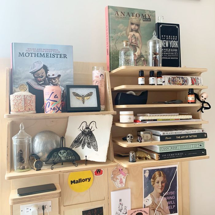 My own desk with nearly a dozen small shelves filled with books and eerie decor.