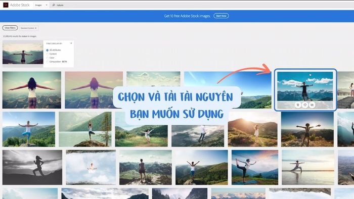 Cách thức hoạt động của Adobe Stock