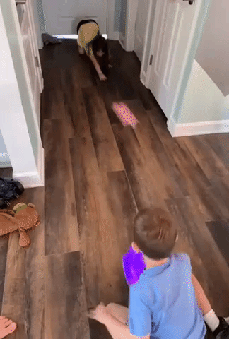 A reviewer’s children playing with the soccer hover balls