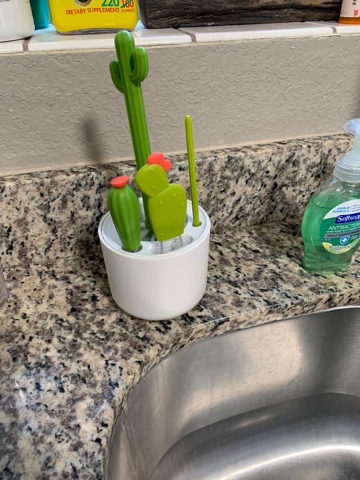 The cacti brush set displayed in a white container, ready for use.