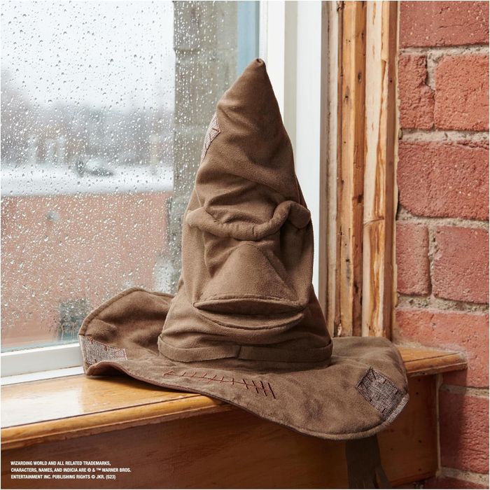 The brown Sorting Hat with a facial expression.