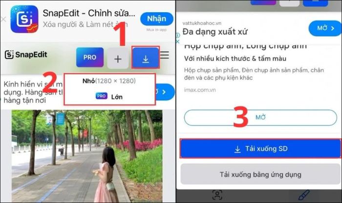 Nhấn vào biểu tượng Tải xuống, chọn kích cỡ ảnh phù hợp, sau đó nhấn Tải xuống để lưu ảnh vào máy.