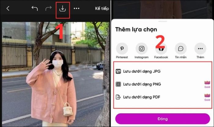Lưu ảnh bằng cách chọn biểu tượng tải về và chọn định dạng muốn lưu