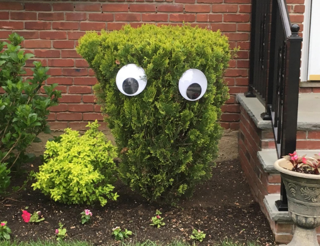 the googly eyes attached to a reviewer's bush