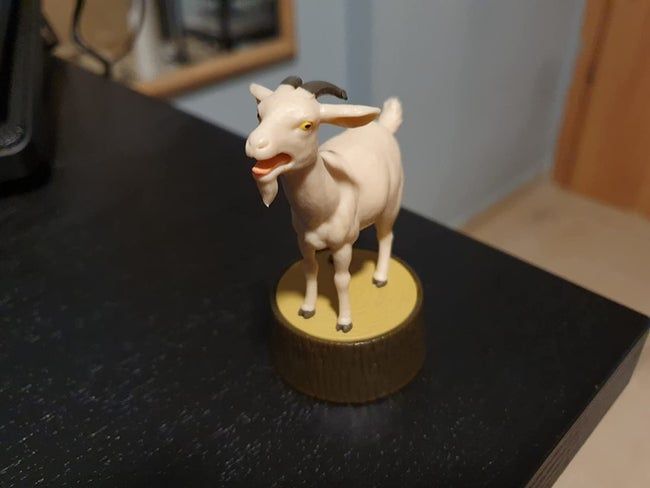 A close-up shot of a reviewer's goat