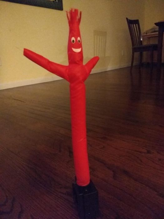 inflatable tube guy placed on the reviewer's floor