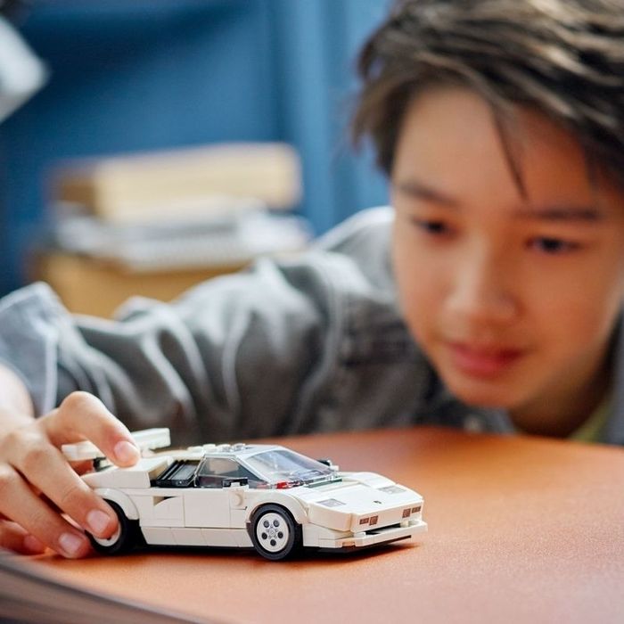 Kid plays with a LEGO car