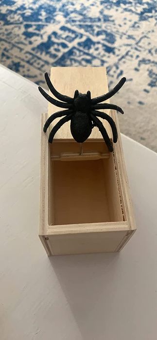 a reviewer's box opened with the spider springing out