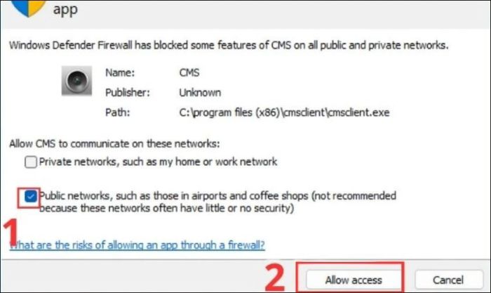 Chọn vào chấm tròn ở mục Public networks… rồi nhấn Allow access để tiếp tục.
