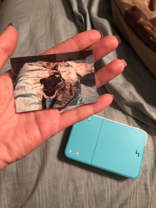 someone holding the photo of their dog that they took with the instant camera