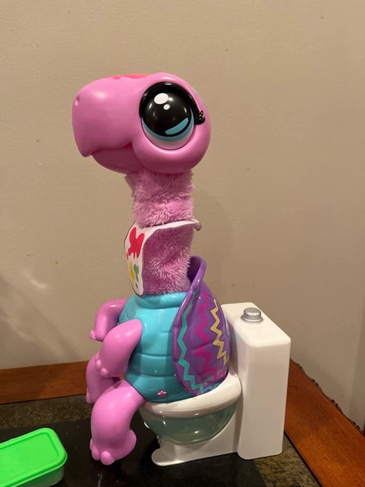 The toy turtle sitting on the potty