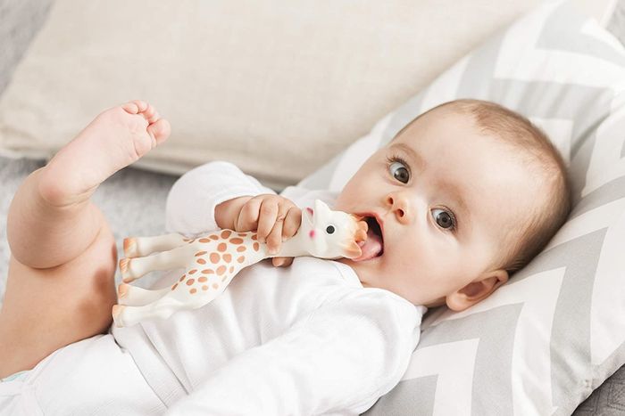 baby chewing on the giraffe toy