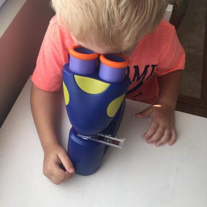 A reviewer's image showing a child looking at a slide through the microscope