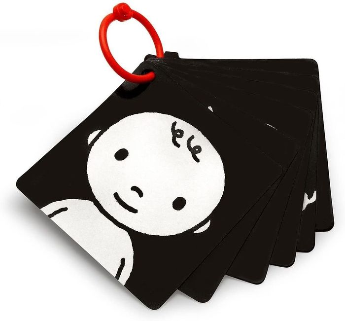 High-Contrast Flash Cards
