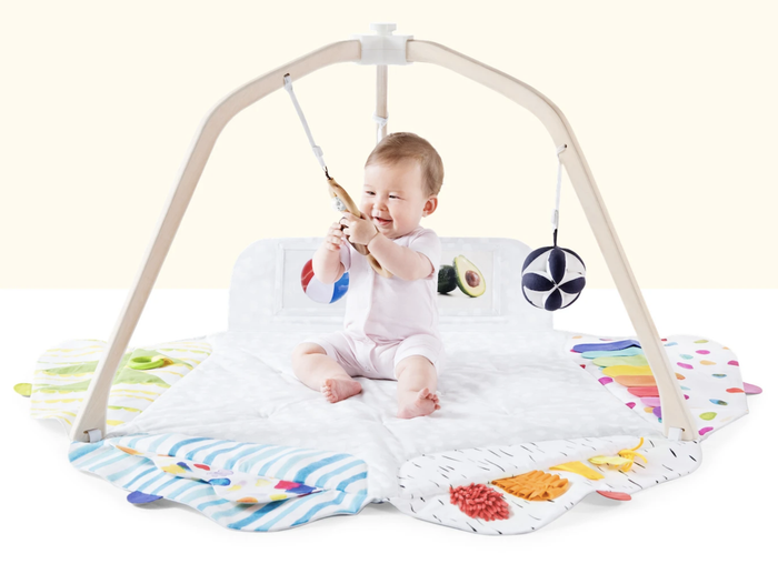 Lovevery Play Gym