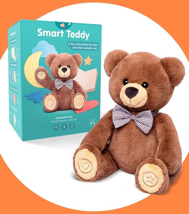 the smart teddy