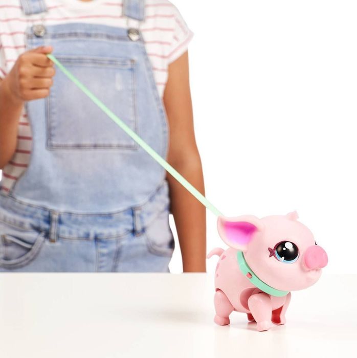 a child taking the mini pig for a walk on a leash