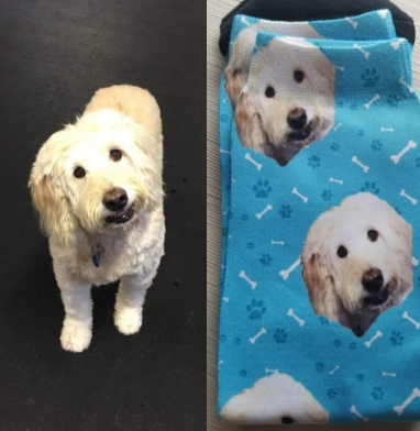 A side-by-side comparison of a reviewer's dog and the adorable blue socks featuring their dog's face, capturing the perfect pet and style moment.