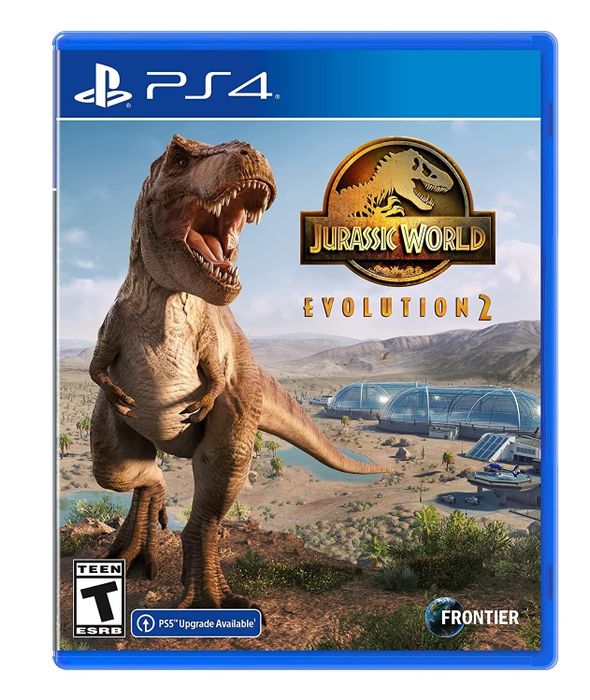 the video game