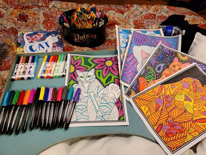 A reviewer’s photo showcasing their colored pages from the cat coloring book.