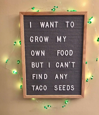 A reviewer's letter board with a gray background featuring the humorous message: 'I want to grow my own food but I can't find any taco seeds.'