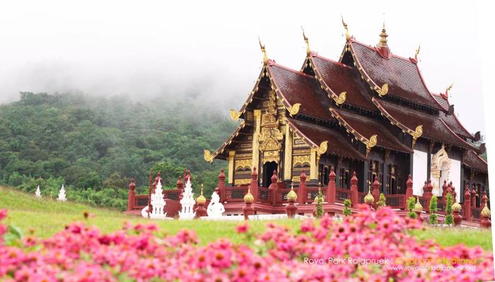 รวบรวมสถานที่ท่องเที่ยวหน้าหนาวที่มีทุ่งดอกไม้สวย เหมาะกับการไปเที่ยวในช่วงอากาศเย็นๆ แบบนี้