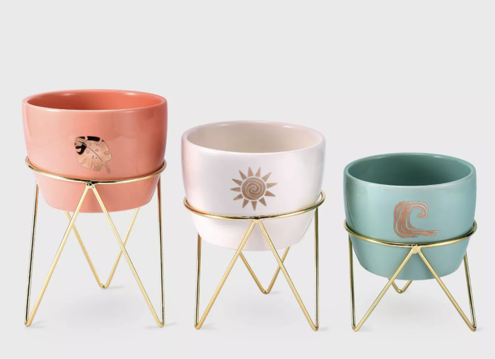 moana planters