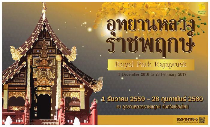 รวบรวมสถานที่ท่องเที่ยวหน้าหนาวที่เต็มไปด้วยดอกไม้สวย เหมาะกับการไปเที่ยวในช่วงอากาศเย็นๆ แบบนี้