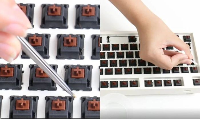 Tháo các keycaps ra khỏi bàn phím