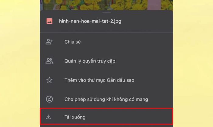 Hướng dẫn tải hình nền hoa mai 2025 cho điện thoại